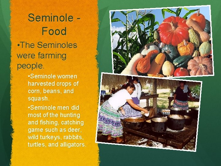 Seminole Food • The Seminoles were farming people. • Seminole women harvested crops of