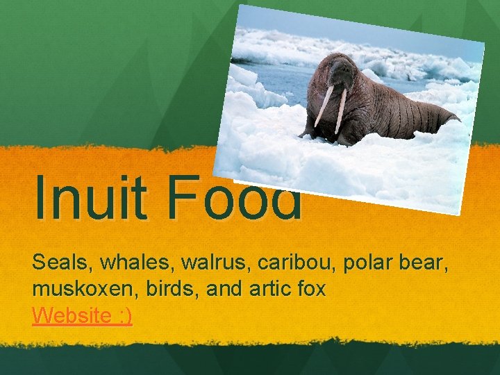 Inuit Food Seals, whales, walrus, caribou, polar bear, muskoxen, birds, and artic fox Website