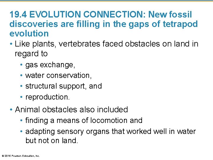 19. 4 EVOLUTION CONNECTION: New fossil discoveries are filling in the gaps of tetrapod