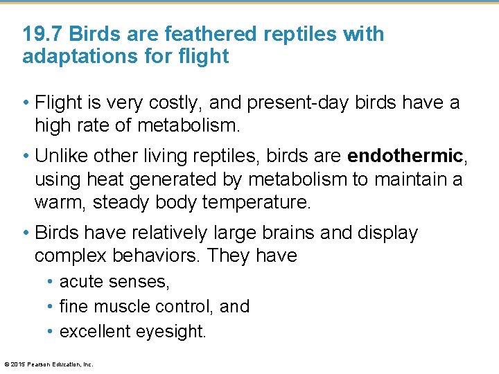 19. 7 Birds are feathered reptiles with adaptations for flight • Flight is very