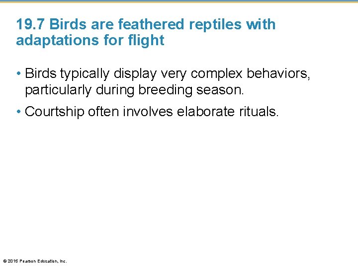 19. 7 Birds are feathered reptiles with adaptations for flight • Birds typically display