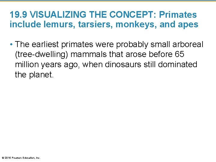 19. 9 VISUALIZING THE CONCEPT: Primates include lemurs, tarsiers, monkeys, and apes • The