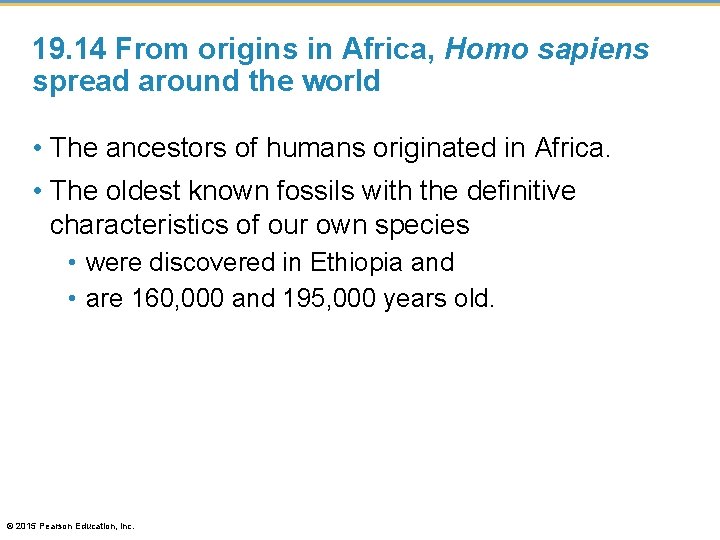 19. 14 From origins in Africa, Homo sapiens spread around the world • The