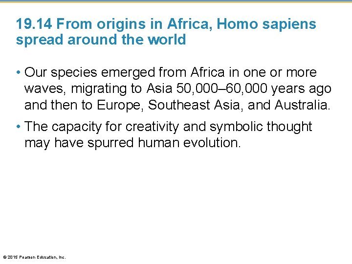 19. 14 From origins in Africa, Homo sapiens spread around the world • Our