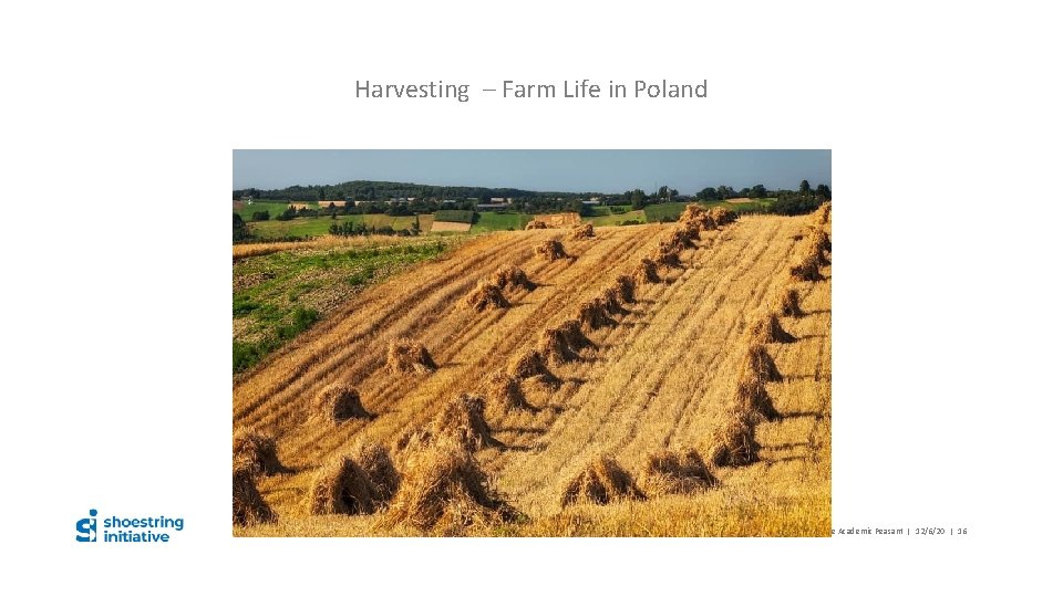 Harvesting – Farm Life in Poland Danuta Charland – The Academic Peasant | 12/6/20