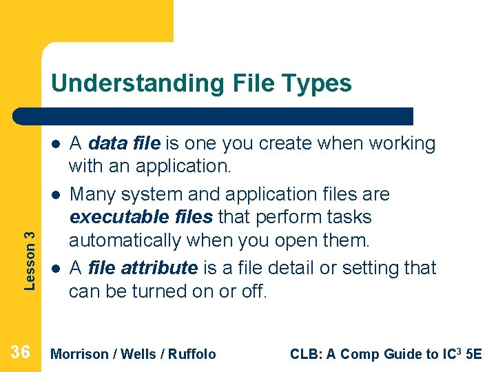 Understanding File Types l Lesson 3 l 36 l A data file is one Understanding File Types l Lesson 3 l 36 l A data file is one