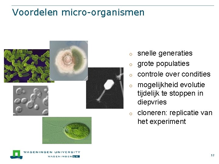 Voordelen micro-organismen o o o snelle generaties grote populaties controle over condities mogelijkheid evolutie