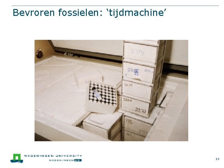 Bevroren fossielen: ‘tijdmachine’ 13 