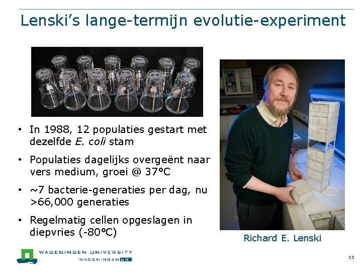 Lenski’s lange-termijn evolutie-experiment • In 1988, 12 populaties gestart met dezelfde E. coli stam