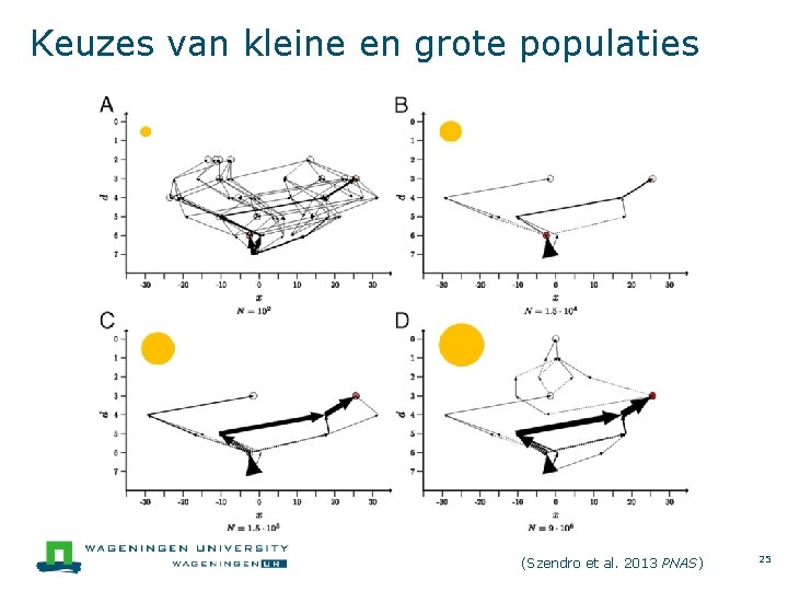 Keuzes van kleine en grote populaties (Szendro et al. 2013 PNAS) 25 