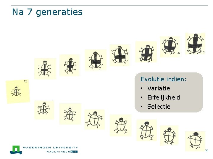 Na 7 generaties Evolutie indien: • Variatie • Erfelijkheid • Selectie 31 