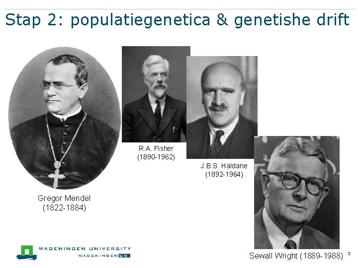 Stap 2: populatiegenetica & genetishe drift R. A. Fisher (1890 -1962) J. B. S.
