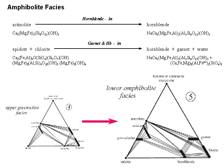 Amphibolite Facies Hornblende - in actinolite hornblende Ca 2(Mg, Fe)5(Si 8 O 22)(OH)2 Na.