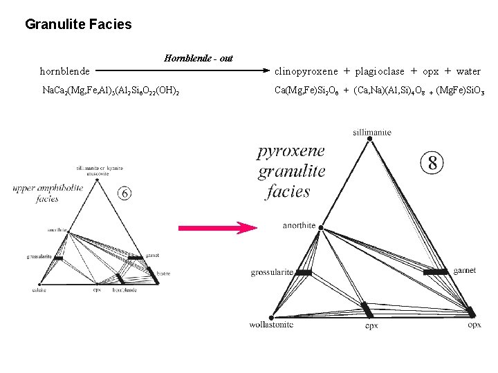 Granulite Facies Hornblende - out hornblende clinopyroxene + plagioclase + opx + water Na.