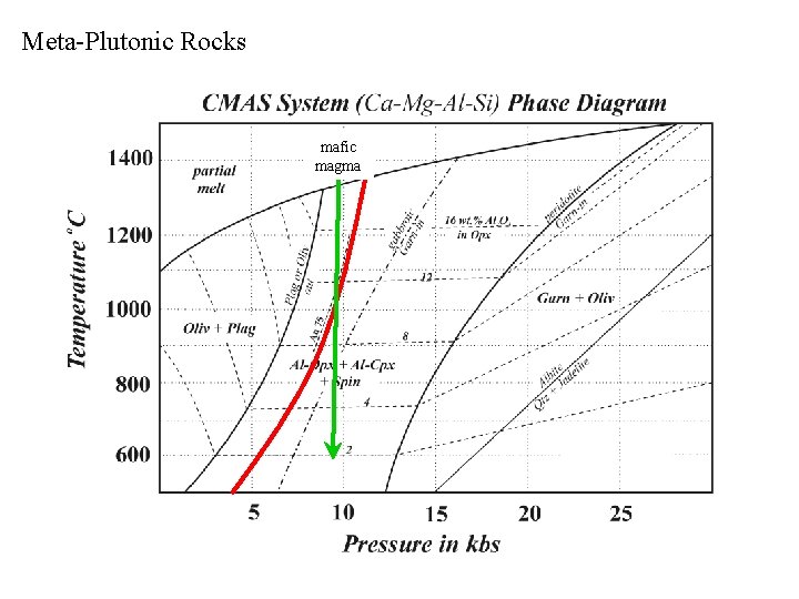 Meta-Plutonic Rocks mafic magma 