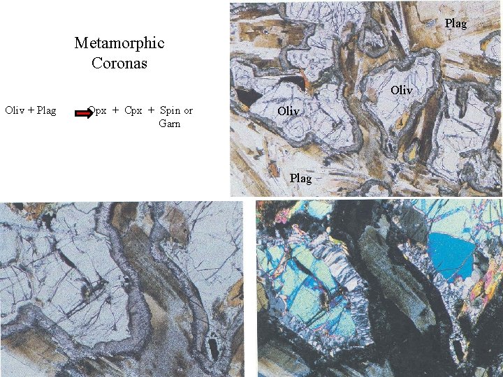 Plag Metamorphic Coronas Oliv + Plag Opx + Cpx + Spin or Garn Oliv