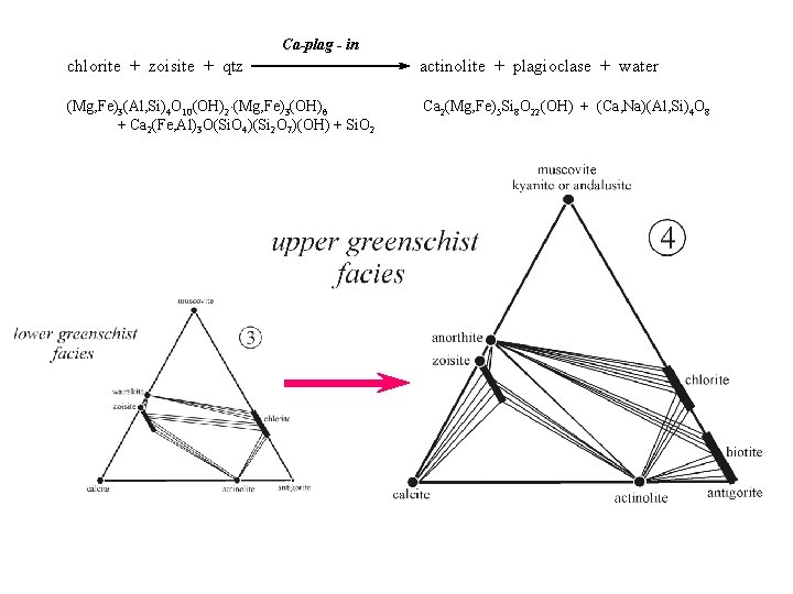 Ca-plag - in chlorite + zoisite + qtz actinolite + plagioclase + water (Mg,