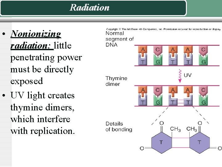 Radiation • Nonionizing radiation: little penetrating power must be directly exposed • UV light