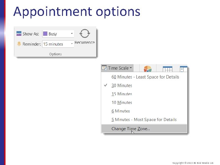 Appointment options Copyright © 2015 30 Bird Media LLC 