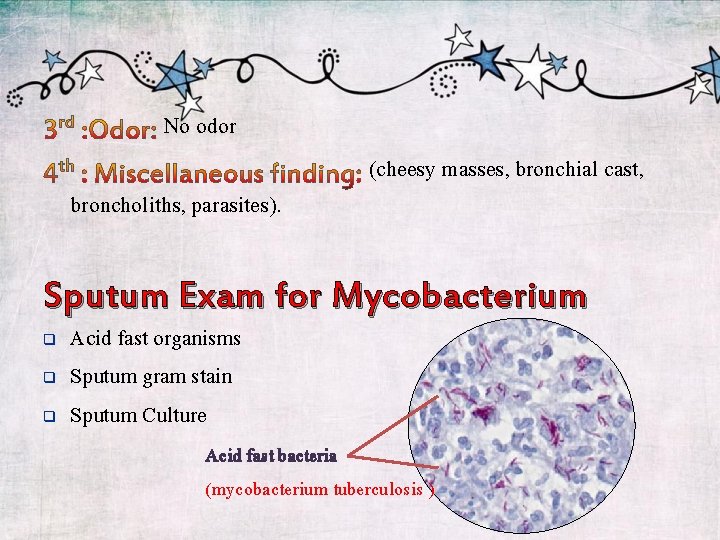 No odor (cheesy masses, bronchial cast, broncholiths, parasites). Sputum Exam for Mycobacterium Acid fast