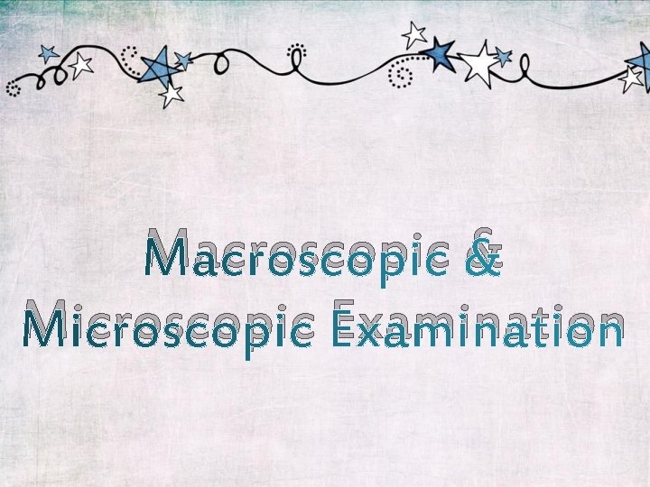 Macroscopic & Microscopic Examination 