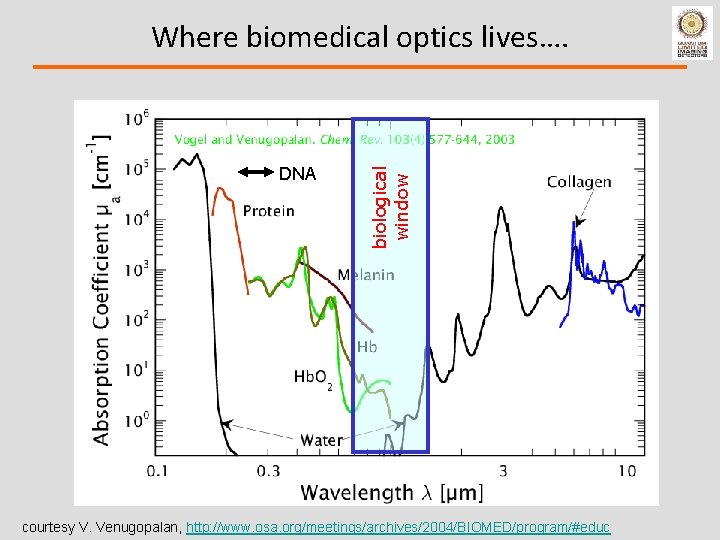 DNA biological window Where biomedical optics lives…. courtesy V. Venugopalan, http: //www. osa. org/meetings/archives/2004/BIOMED/program/#educ