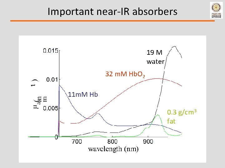 Important near-IR absorbers 19 M water 32 m. M Hb. O 2 11 m.