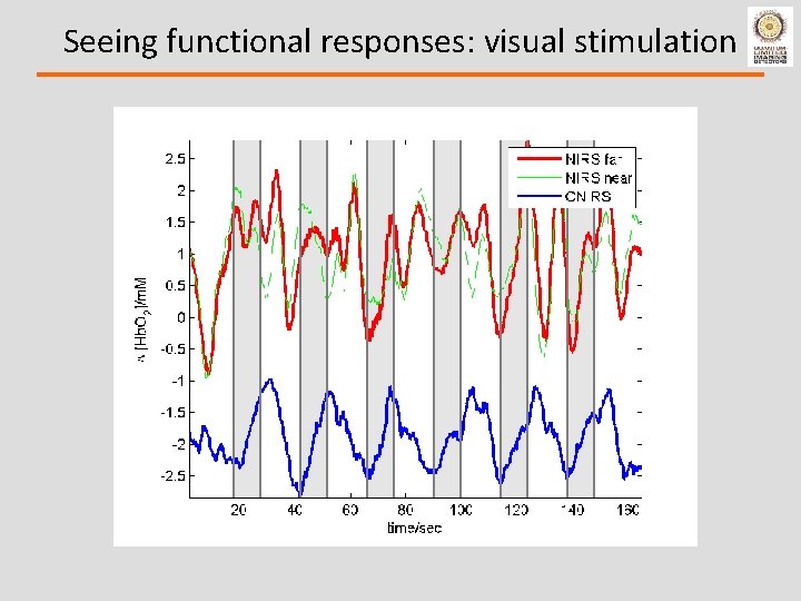Seeing functional responses: visual stimulation 