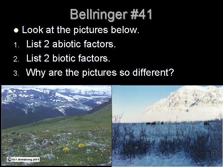 Bellringer #41 Look at the pictures below. 1. List 2 abiotic factors. 2. List