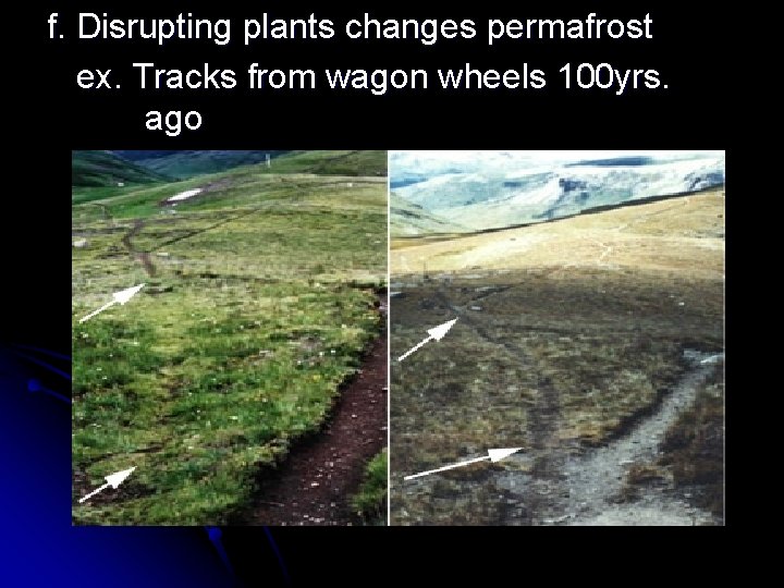 f. Disrupting plants changes permafrost ex. Tracks from wagon wheels 100 yrs. ago 