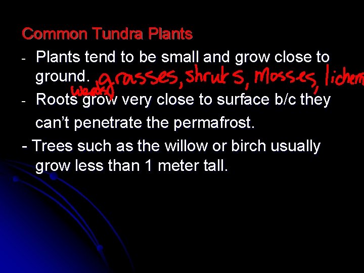 Common Tundra Plants - Plants tend to be small and grow close to ground.