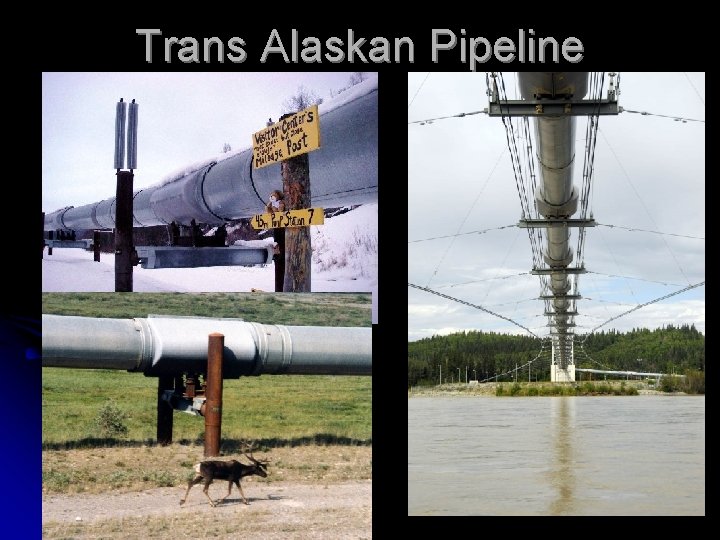 Trans Alaskan Pipeline 