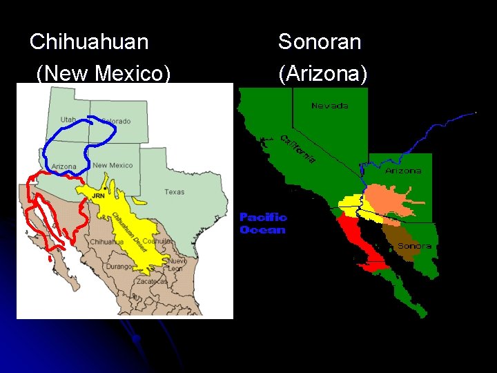 Chihuahuan (New Mexico) Sonoran (Arizona) 