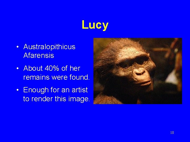 Lucy • Australopithicus Afarensis • About 40% of her remains were found. • Enough