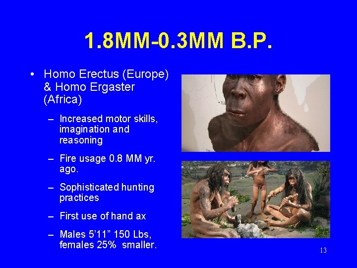 1. 8 MM-0. 3 MM B. P. • Homo Erectus (Europe) & Homo Ergaster