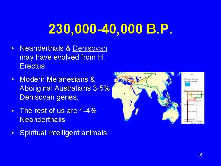 230, 000 -40, 000 B. P. • Neanderthals & Denisovan may have evolved from