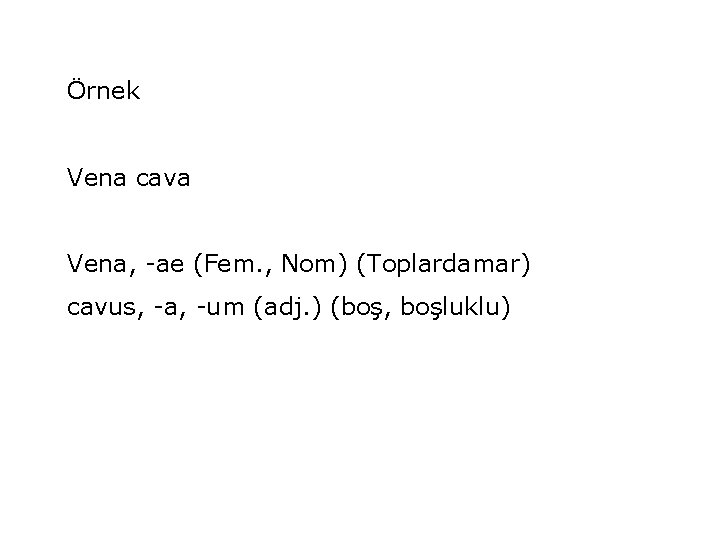 Örnek Vena cava Vena, -ae (Fem. , Nom) (Toplardamar) cavus, -a, -um (adj. )