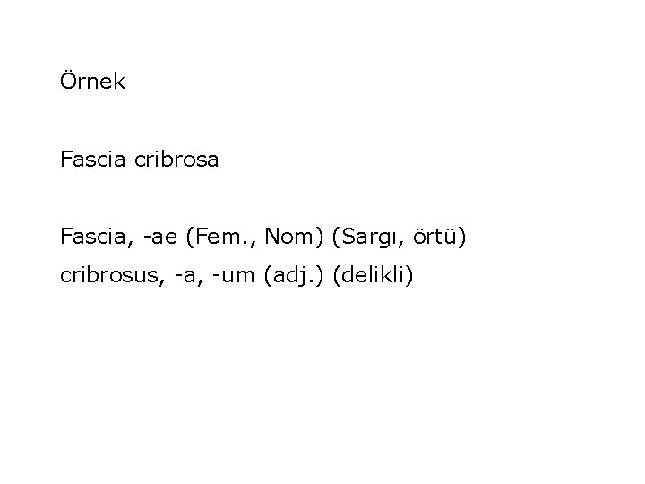 Örnek Fascia cribrosa Fascia, -ae (Fem. , Nom) (Sargı, örtü) cribrosus, -a, -um (adj.