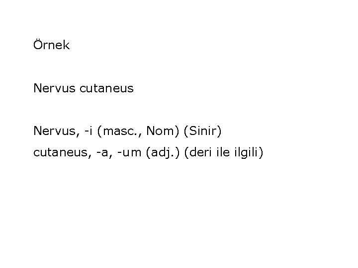 Örnek Nervus cutaneus Nervus, -i (masc. , Nom) (Sinir) cutaneus, -a, -um (adj. )