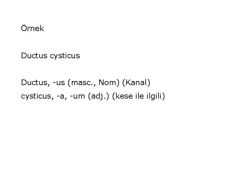 Örnek Ductus cysticus Ductus, -us (masc. , Nom) (Kanal) cysticus, -a, -um (adj. )