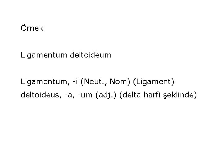 Örnek Ligamentum deltoideum Ligamentum, -i (Neut. , Nom) (Ligament) deltoideus, -a, -um (adj. )