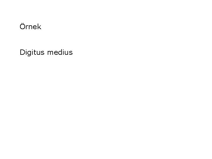Örnek Digitus medius 