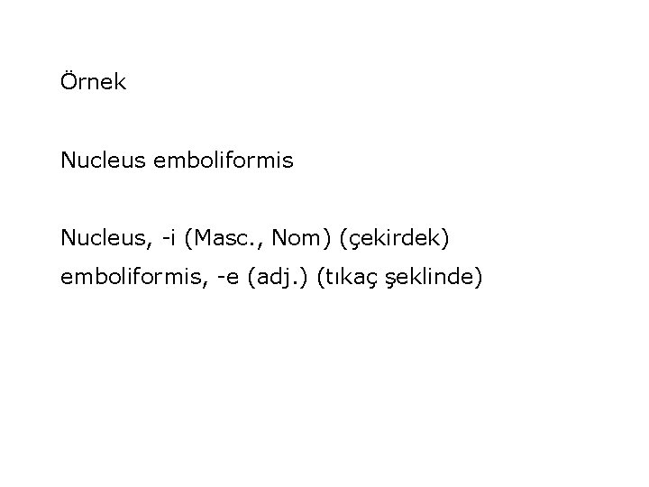 Örnek Nucleus emboliformis Nucleus, -i (Masc. , Nom) (çekirdek) emboliformis, -e (adj. ) (tıkaç