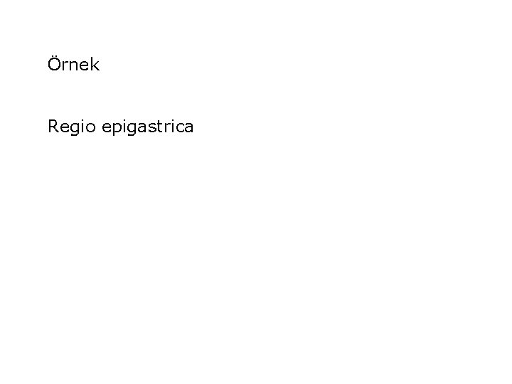 Örnek Regio epigastrica 