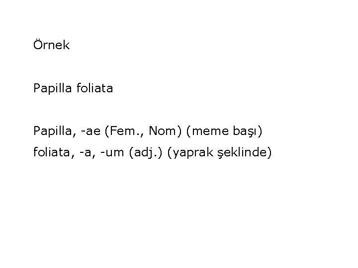 Örnek Papilla foliata Papilla, -ae (Fem. , Nom) (meme başı) foliata, -um (adj. )