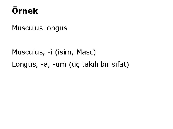 Örnek Musculus longus Musculus, -i (isim, Masc) Longus, -a, -um (üç takılı bir sıfat)