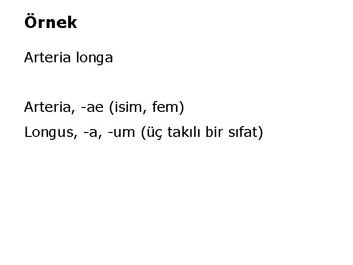 Örnek Arteria longa Arteria, -ae (isim, fem) Longus, -a, -um (üç takılı bir sıfat)