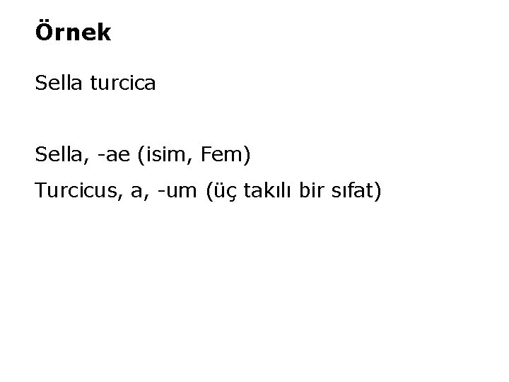 Örnek Sella turcica Sella, -ae (isim, Fem) Turcicus, a, -um (üç takılı bir sıfat)