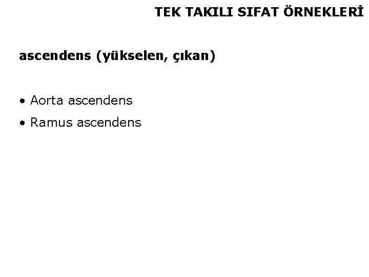 TEK TAKILI SIFAT ÖRNEKLERİ ascendens (yükselen, çıkan) • Aorta ascendens • Ramus ascendens 