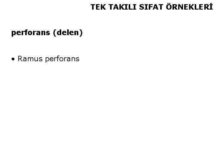 TEK TAKILI SIFAT ÖRNEKLERİ perforans (delen) • Ramus perforans 